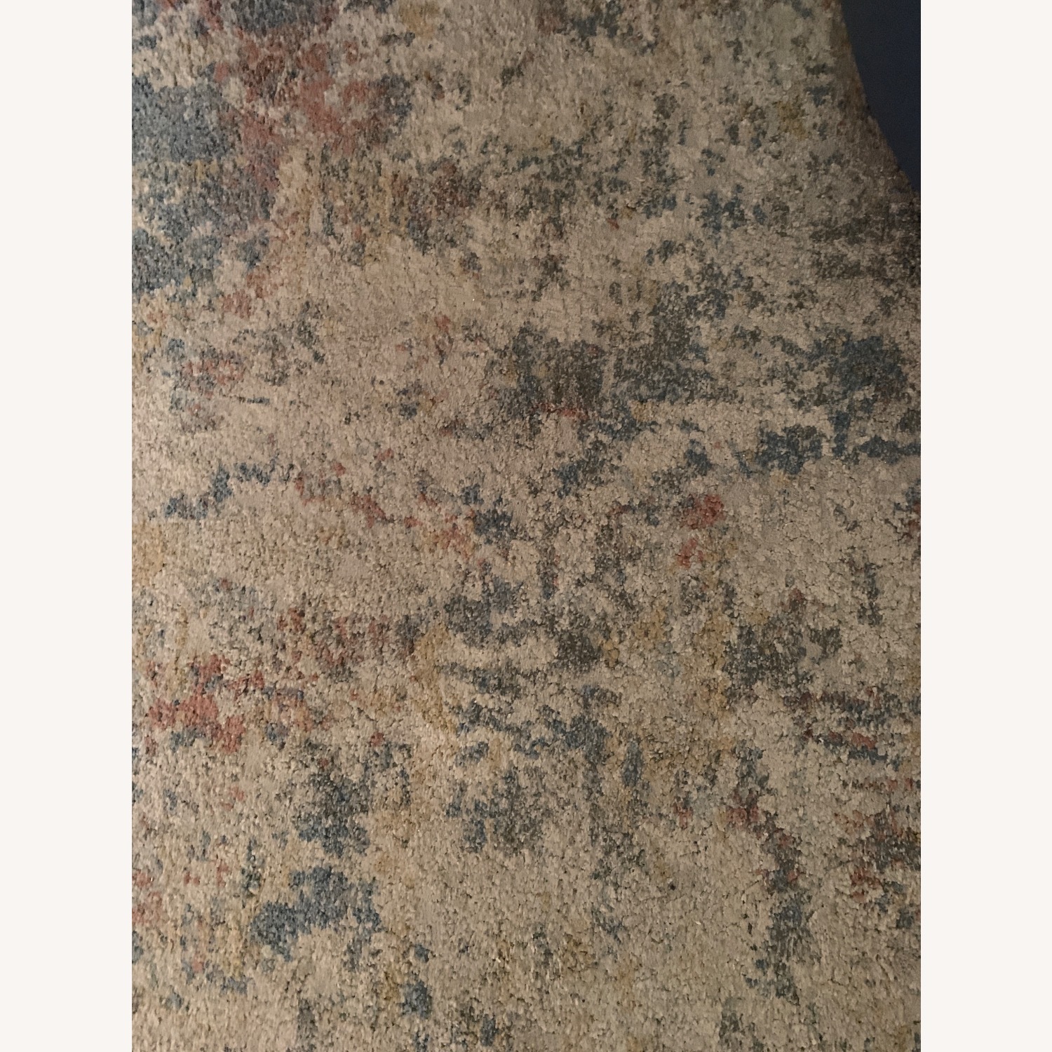 Neutral Area Rug - image-3