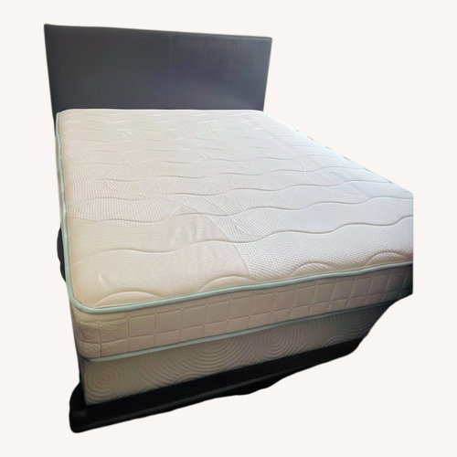 Used Chocolate Queen Bed for sale on AptDeco