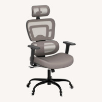 Two Light Gray Ergonomic High Back Executive Chair