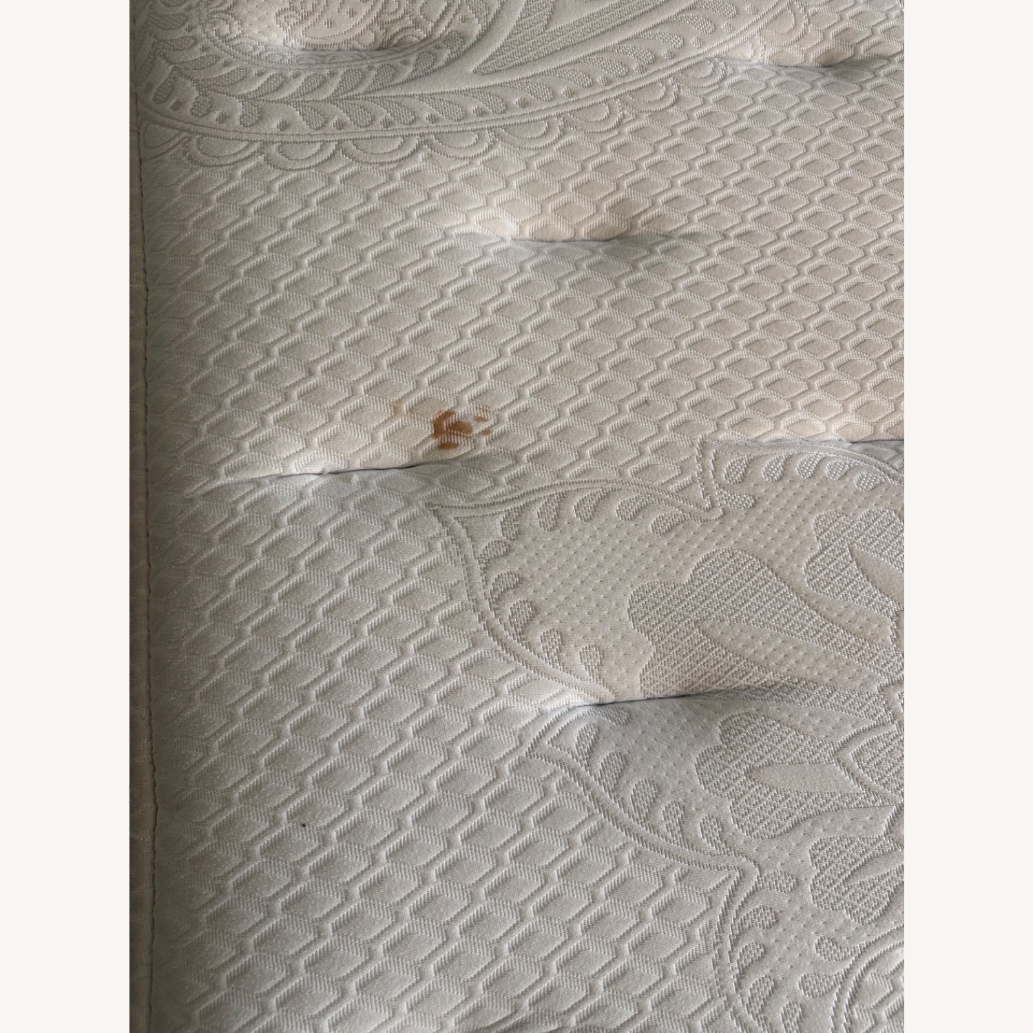 Perfect Starter Bed for Your Space - image-10