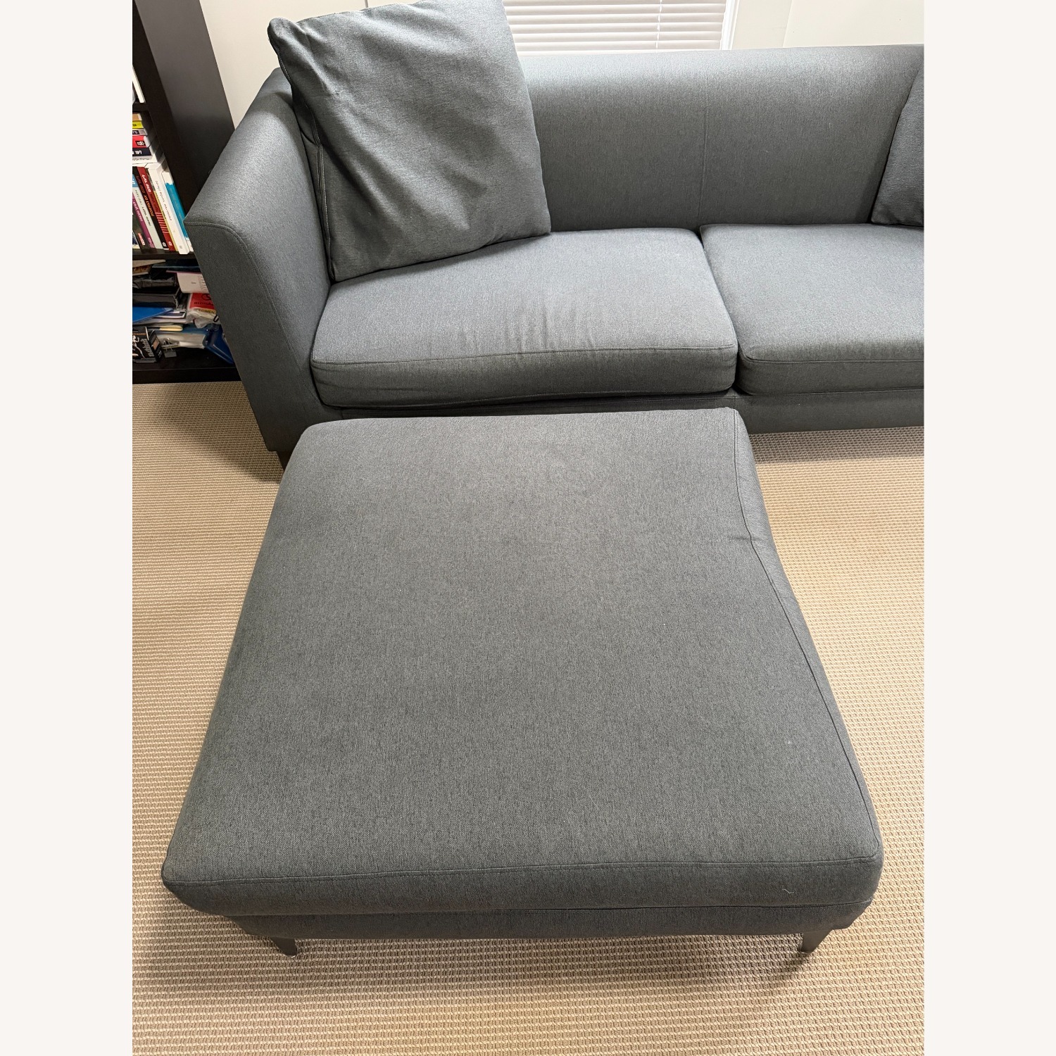 Room & Board Ash Sterling 86'' Sofa and Ottoman  - image-4