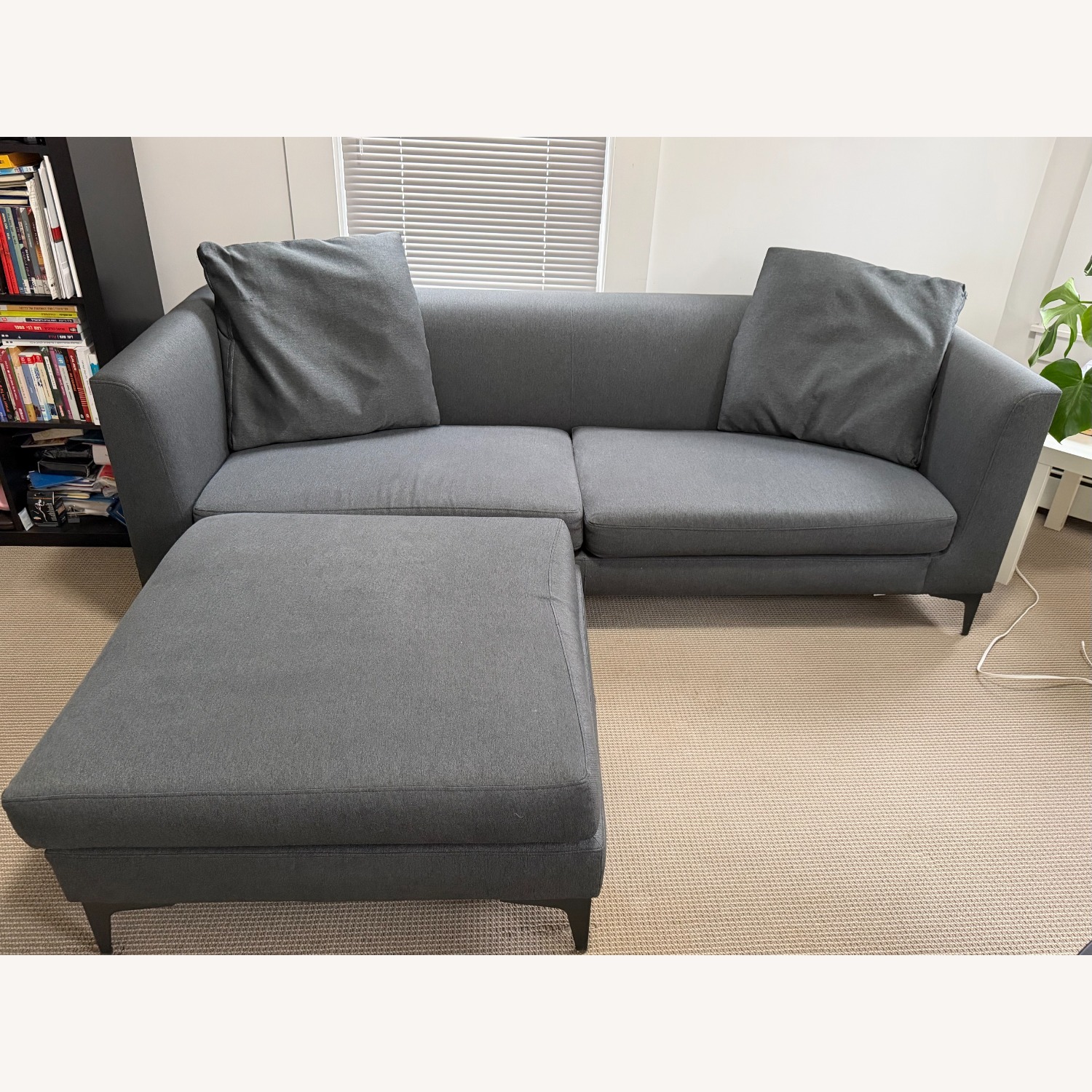 Room & Board Ash Sterling 86'' Sofa and Ottoman  - image-2
