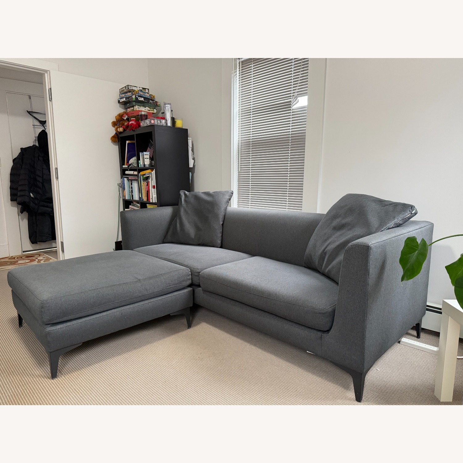 Room & Board Ash Sterling 86'' Sofa and Ottoman  - image-3