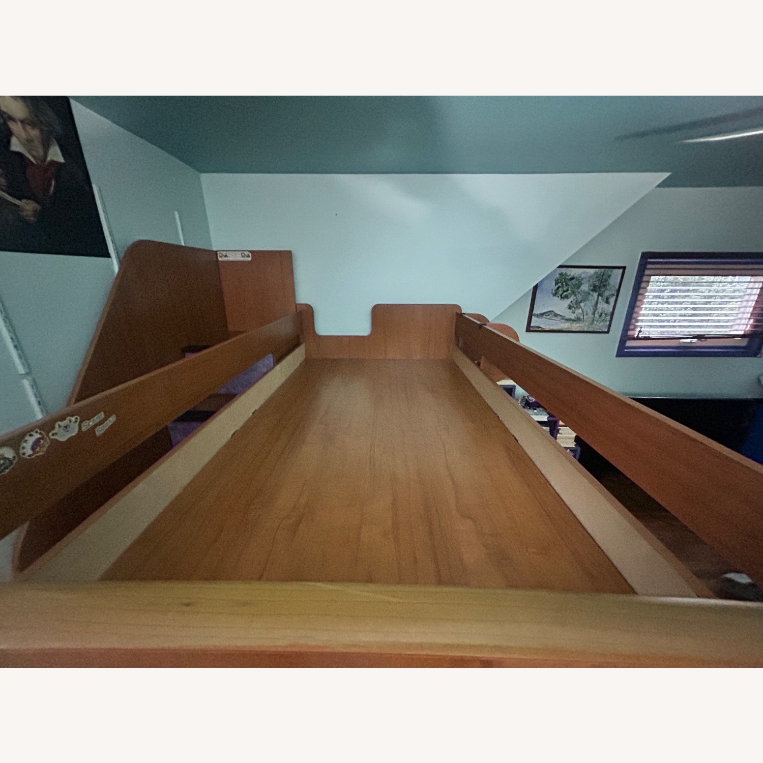 Berg Organic Engineered Wood Bunk Bed - image-6