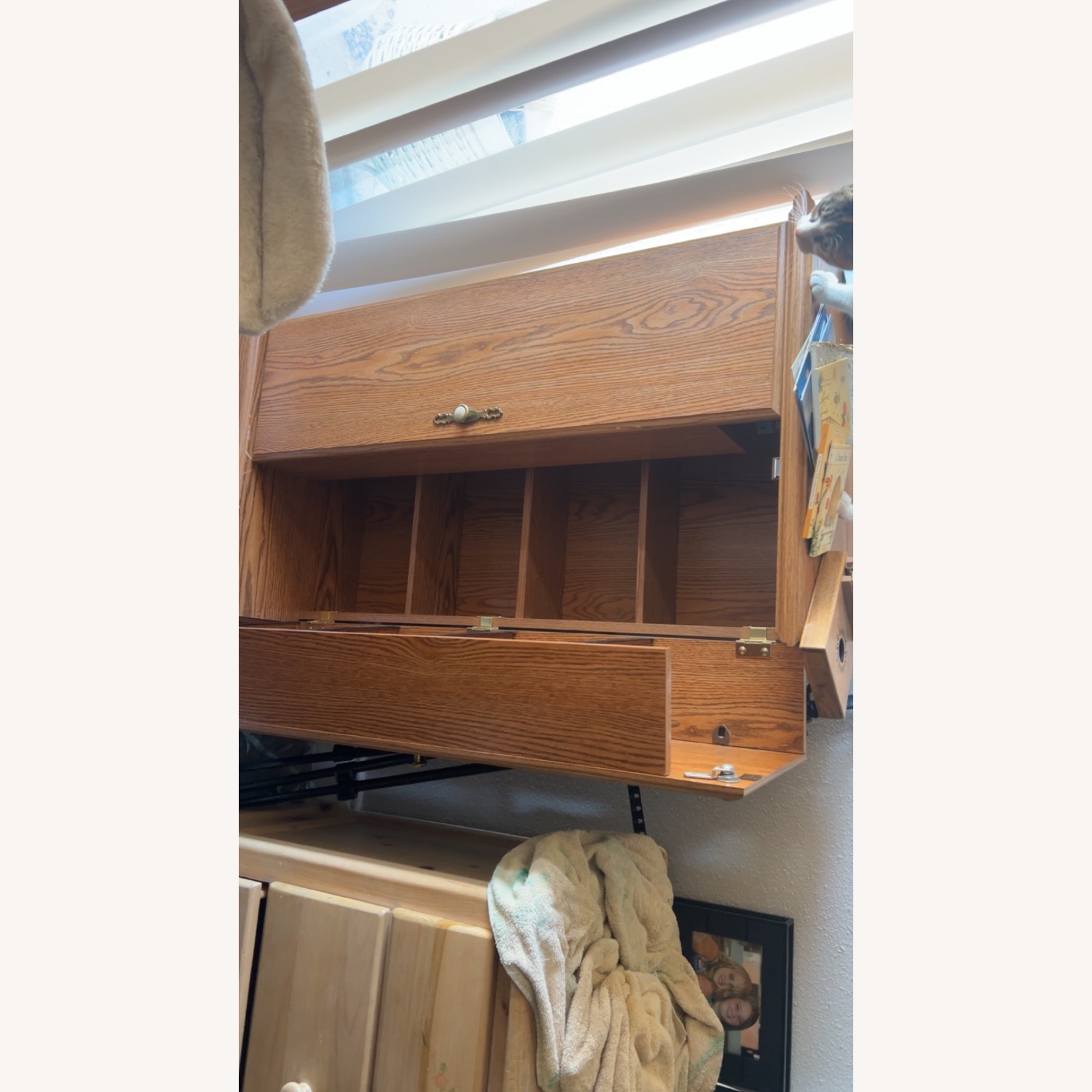 Brown Bookshelf  - image-2