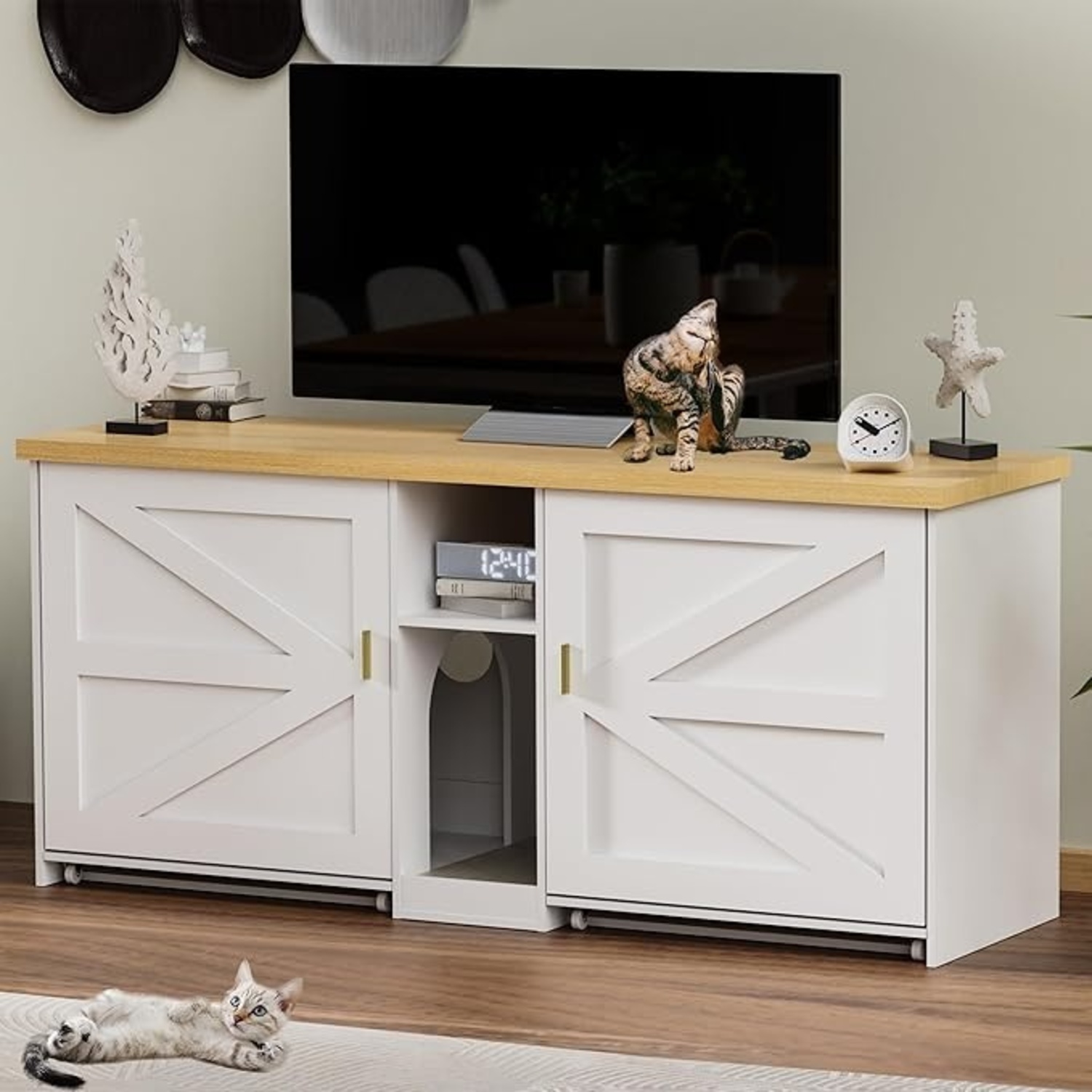PAKASEPT TV Stand - image-4