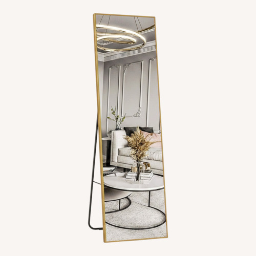 Used Full Body Mirror for sale on AptDeco