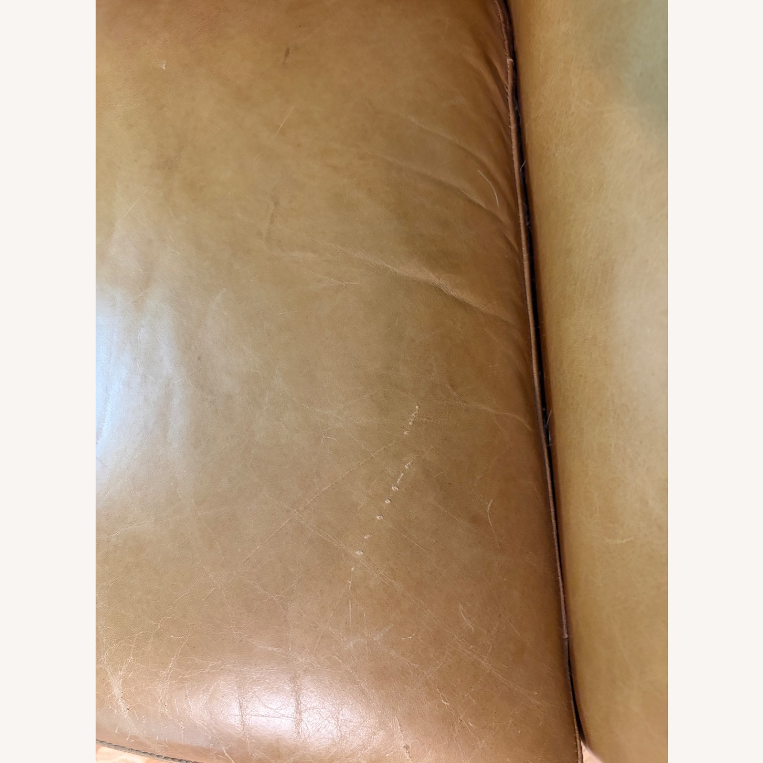 West Elm Lucas Leather Swivel Base Chair - image-8