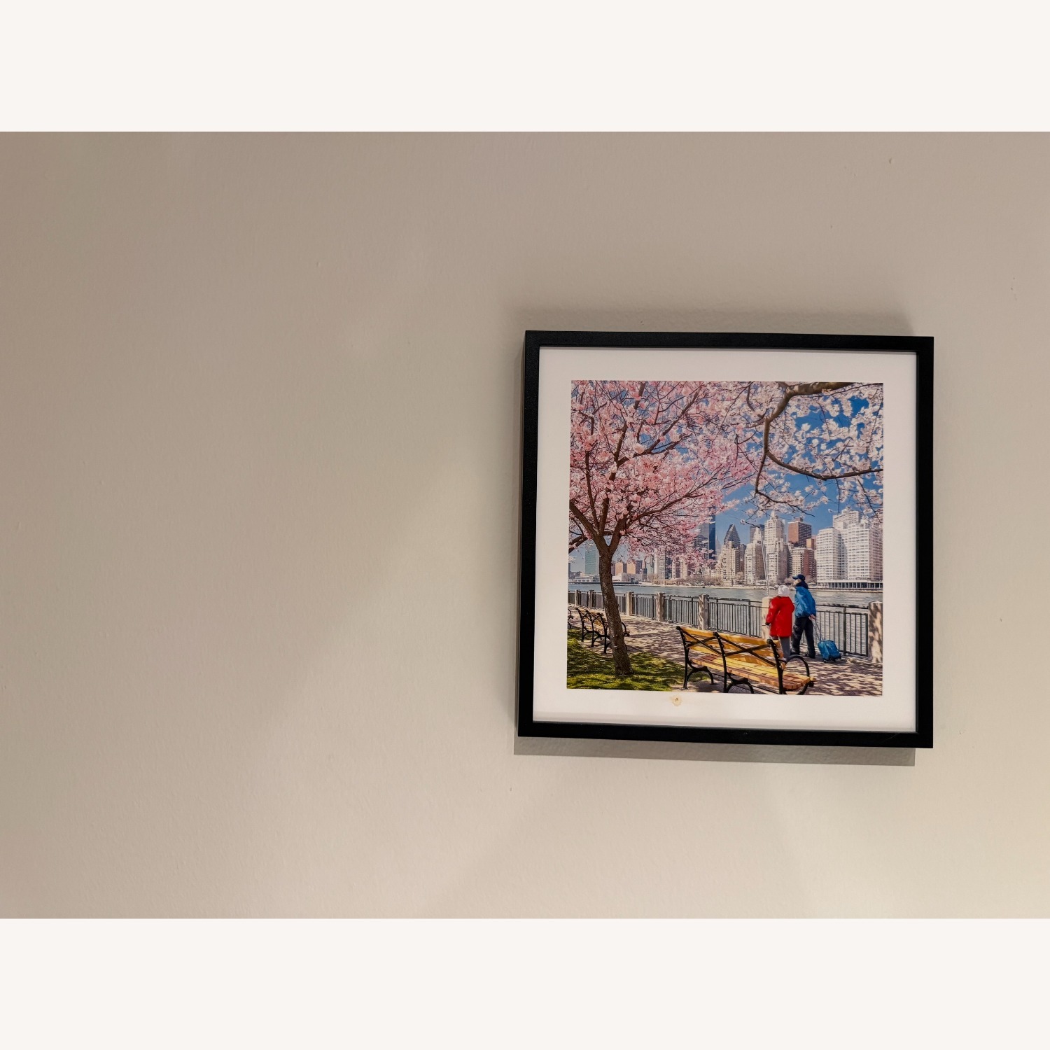 NYC Photos Framed-Central Park & More - image-6