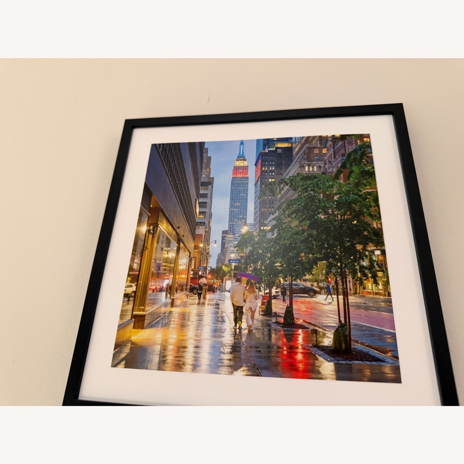 NYC Photos Framed-Central Park & More - image-4