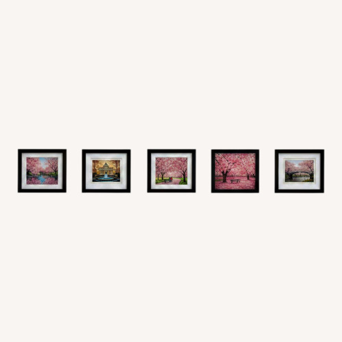 Used NYC Photos Framed-Central Park & More for sale on AptDeco