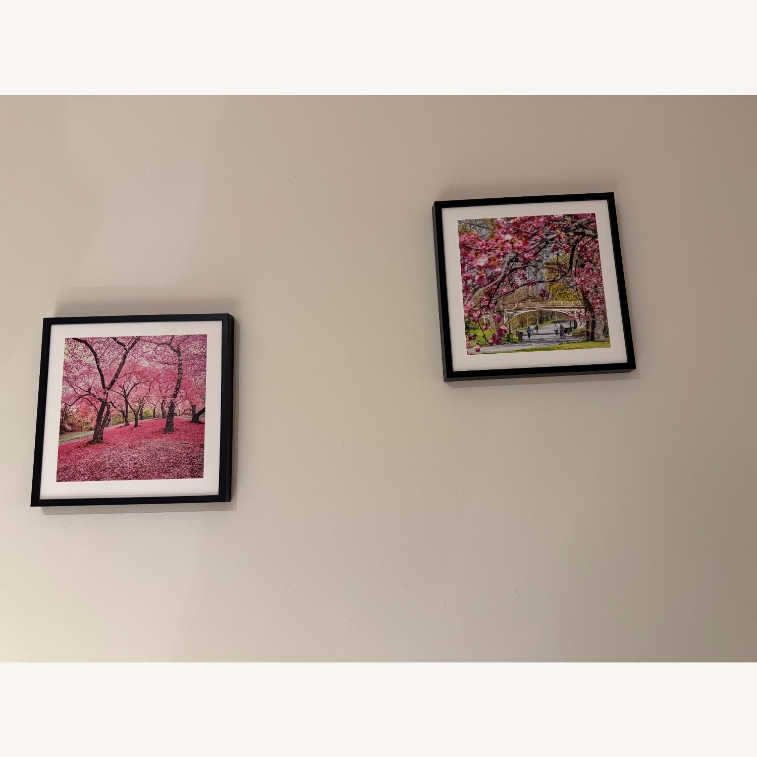 NYC Photos Framed-Central Park & More - image-2