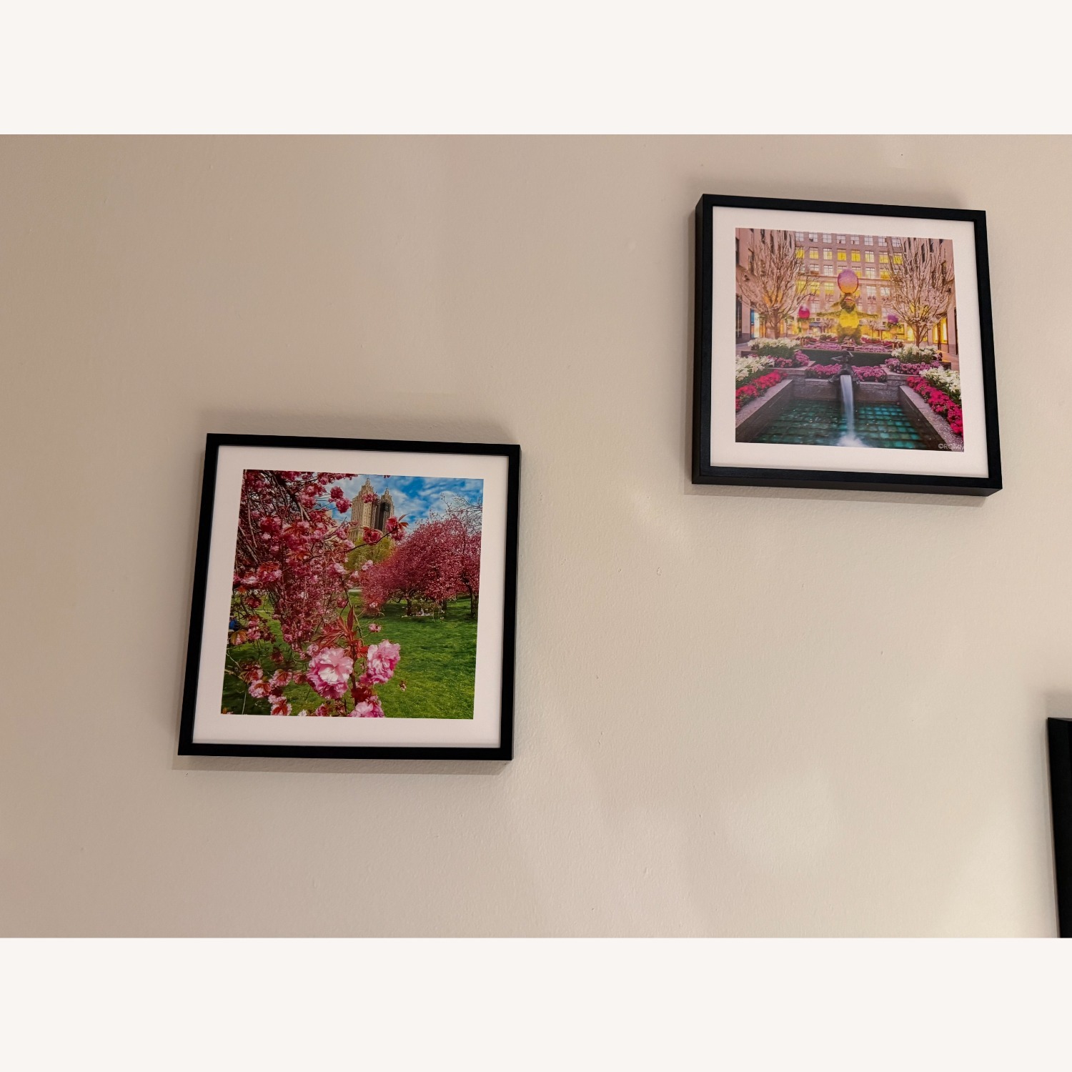 NYC Photos Framed-Central Park & More - image-5