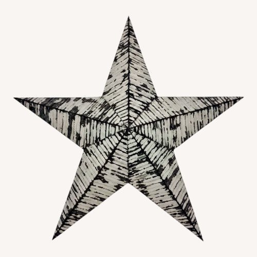 Used White Metal Barn Star Décor for sale on AptDeco