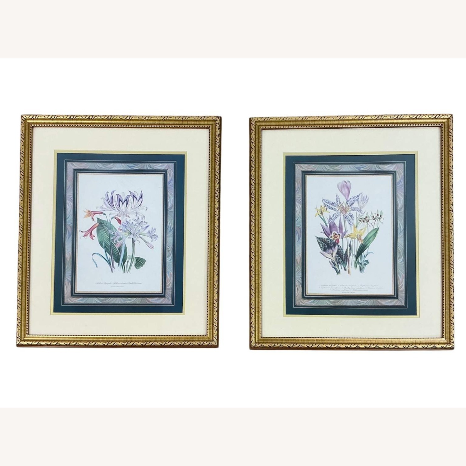 Antique Pair of Framed Botanical Floral Prints - image-1