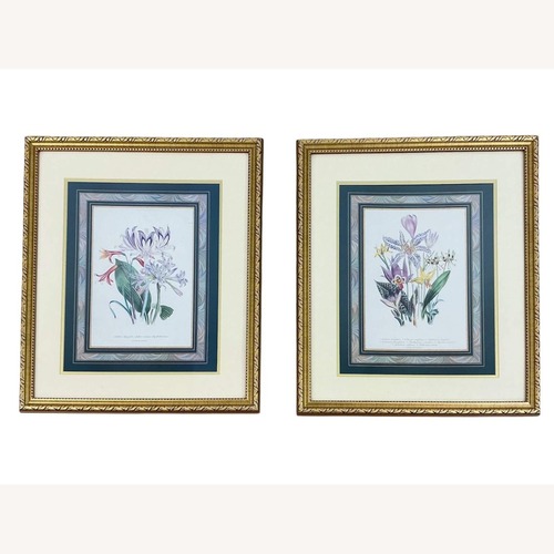 Used Antique Pair of Framed Botanical Floral Prints for sale on AptDeco
