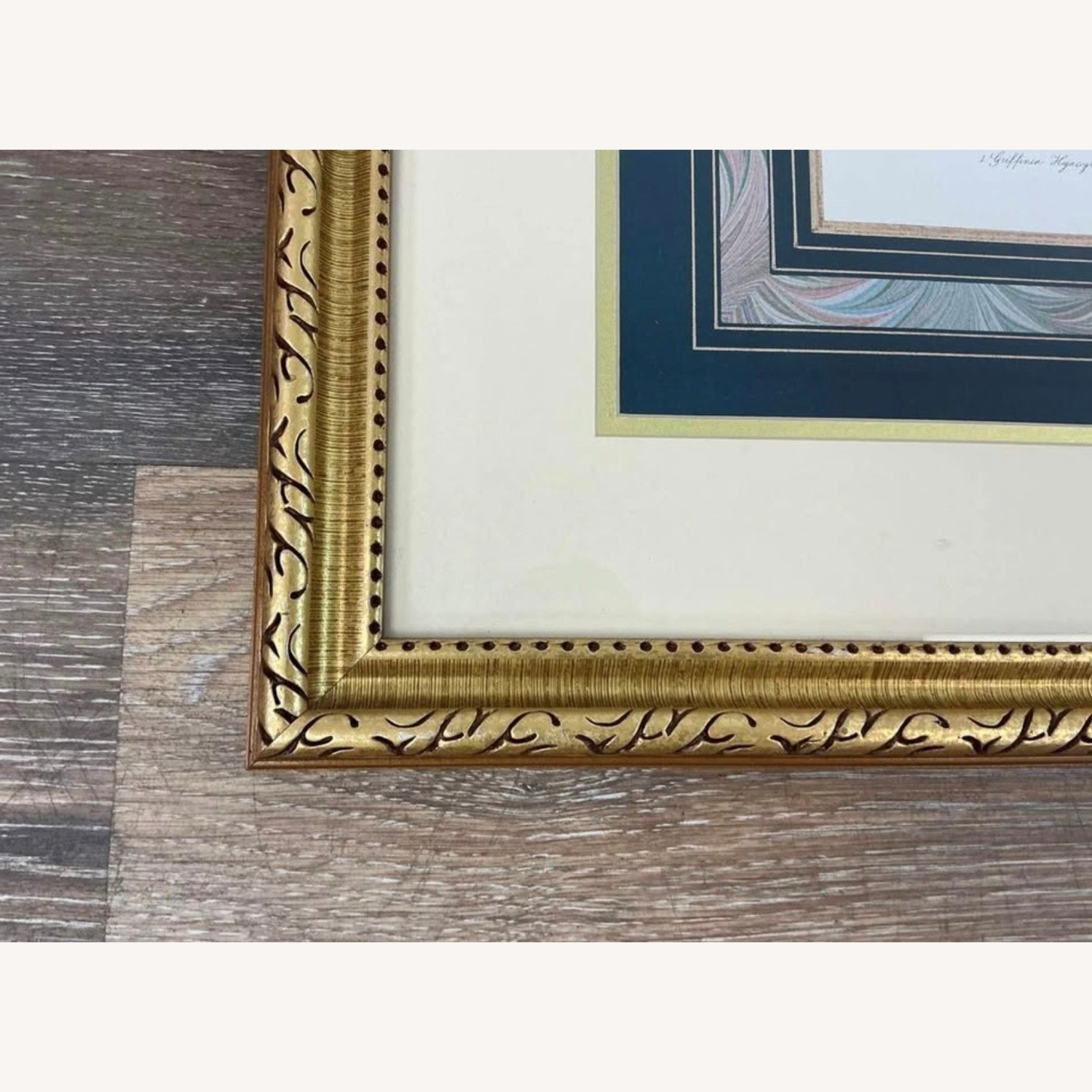 Antique Pair of Framed Botanical Floral Prints - image-5