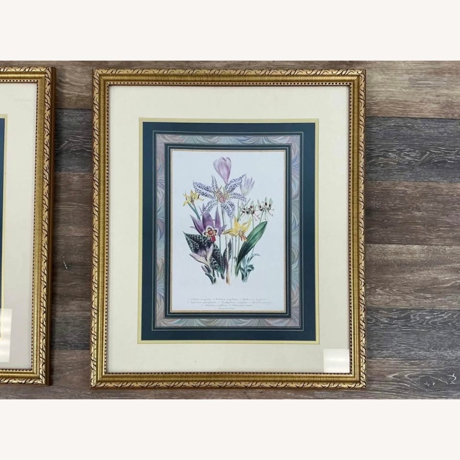 Antique Pair of Framed Botanical Floral Prints - image-6
