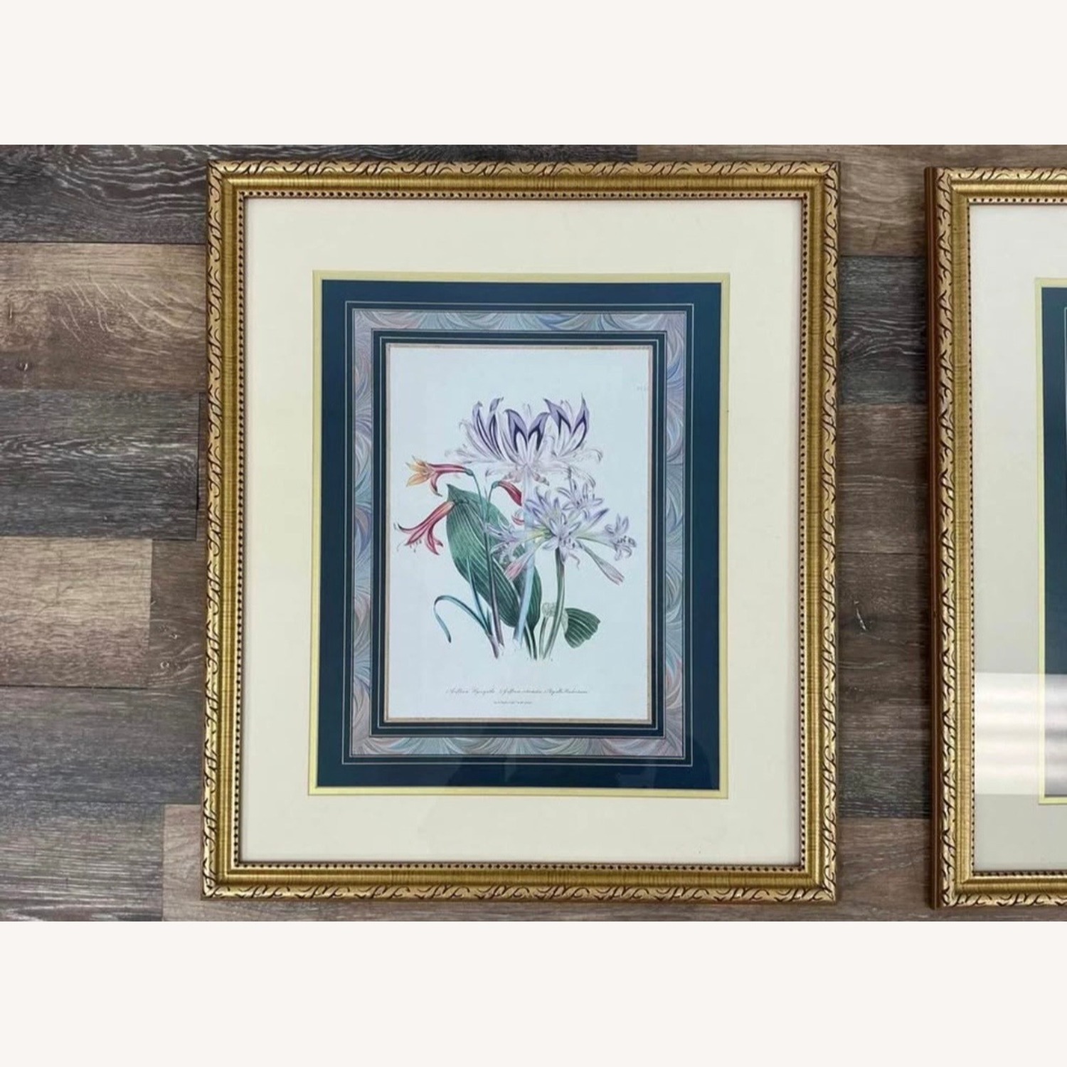 Antique Pair of Framed Botanical Floral Prints - image-7