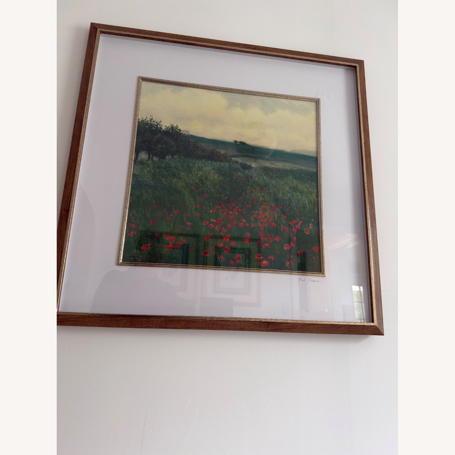 Red Poppies Framed Art Print - image-3