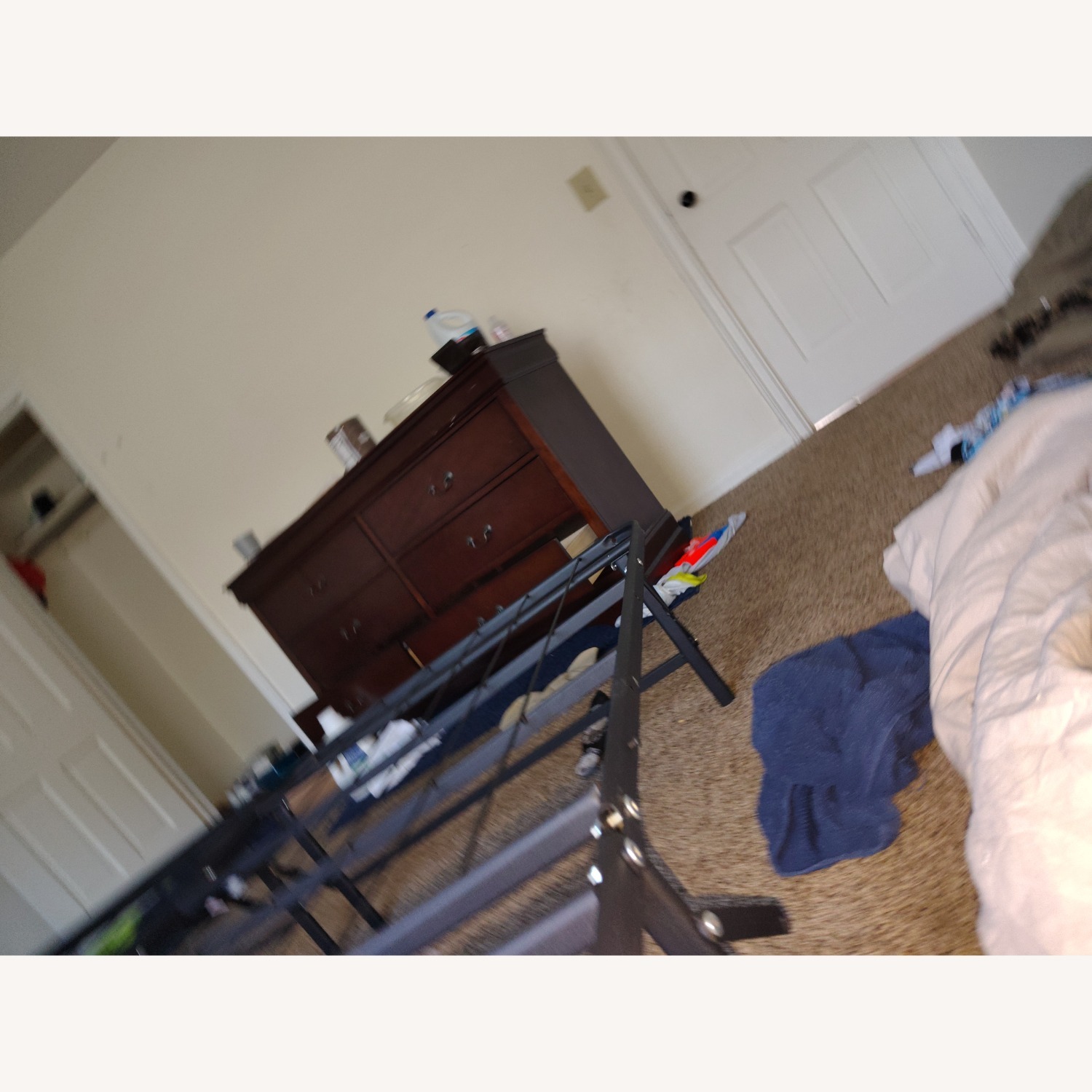 Alisdair Dresser  - image-3