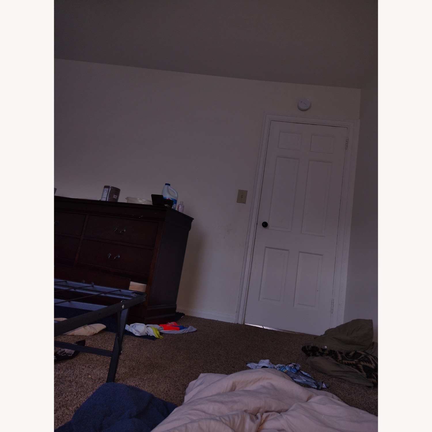 Alisdair Dresser  - image-4