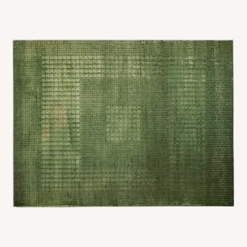 Used Susa Green Revival Rug for sale on AptDeco