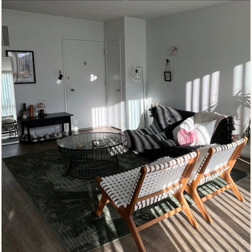 Used Susa Green Revival Rug for sale on AptDeco