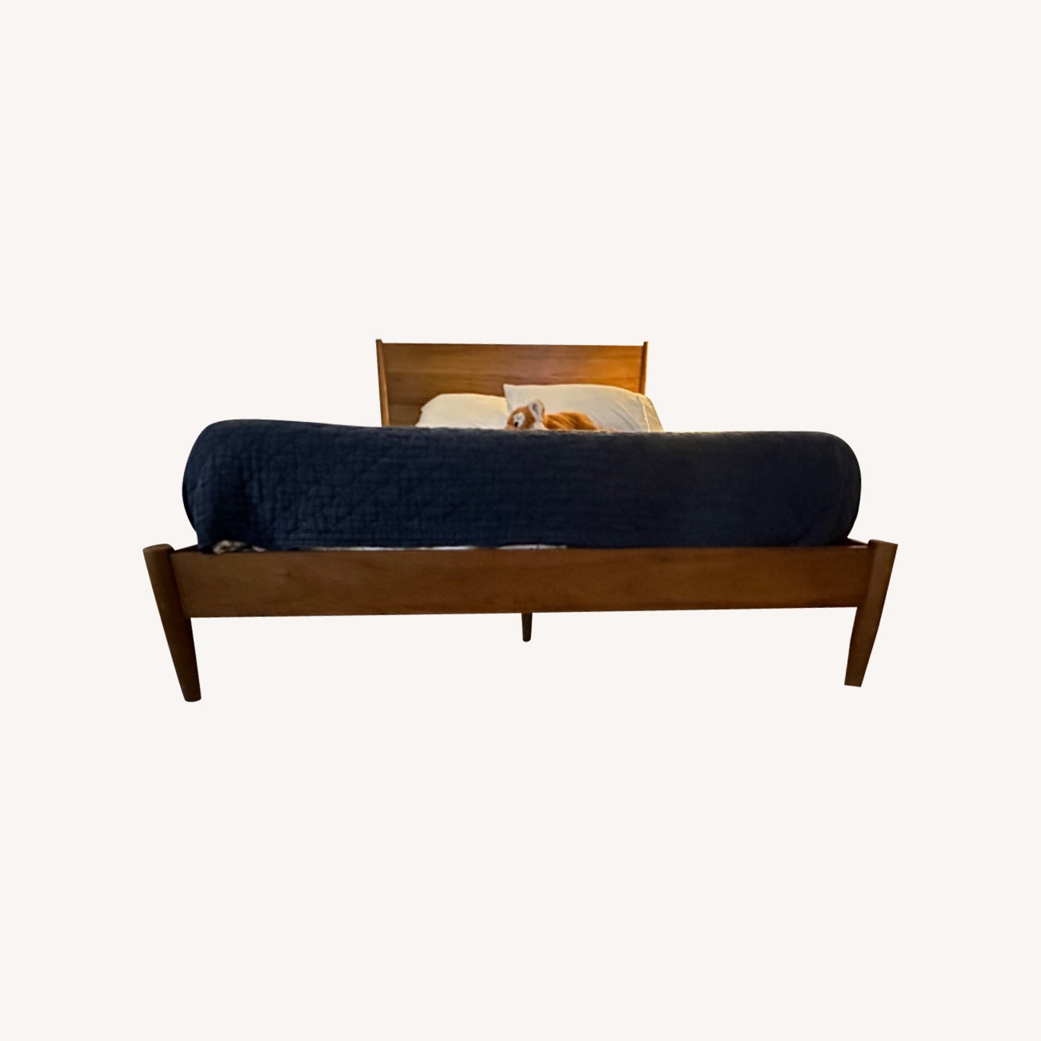 West Elm Mid-Century Bed Acorn - image-4