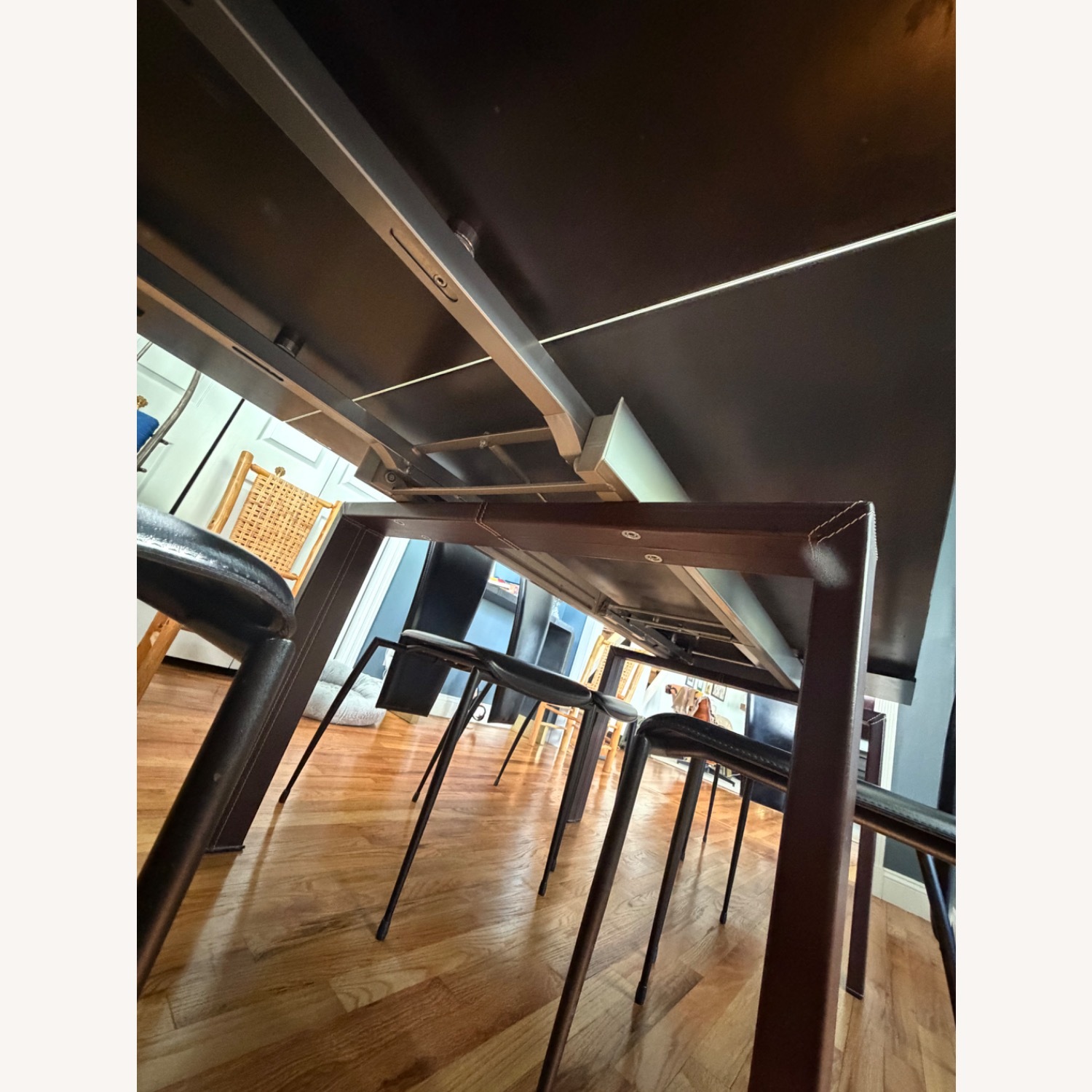 Calligaris Black Glass Dining Table - image-2