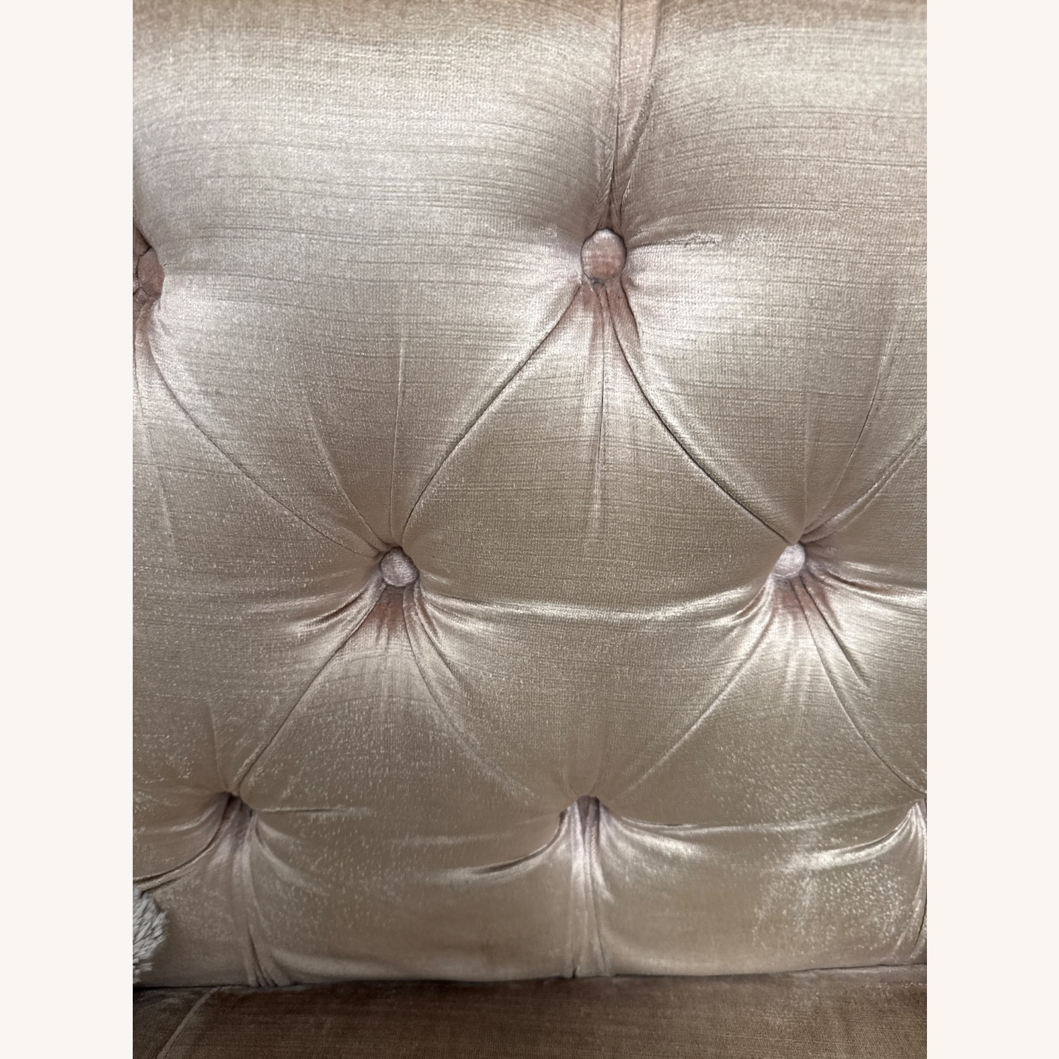 Safavieh Miller Cotoure Sofa  - image-7