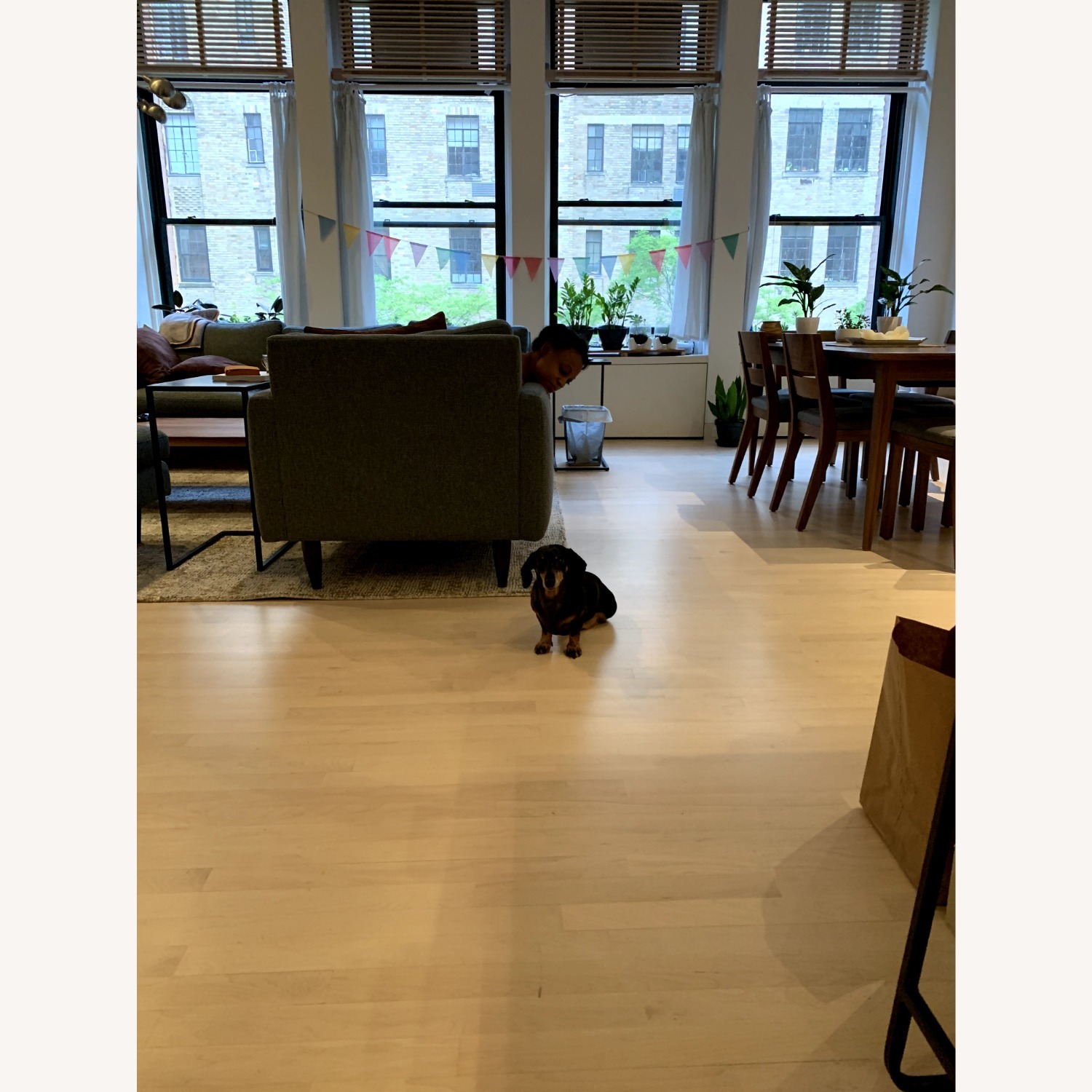 Room & Board Afton Walnut Wood Dining Chairs 6 - image-4