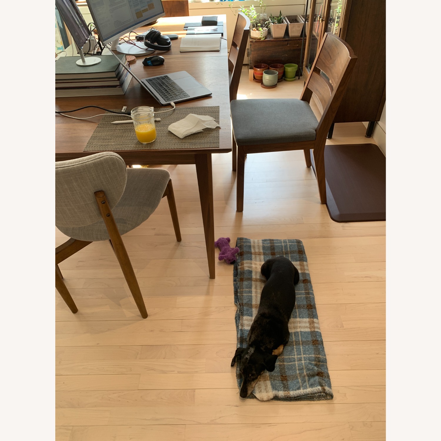 Room & Board Afton Walnut Wood Dining Chairs 6 - image-5