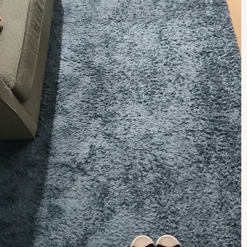 Used Home Dynamix Blue Area Rug 5' x 7' for sale on AptDeco