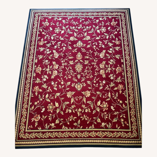 Used Area Rug  for sale on AptDeco