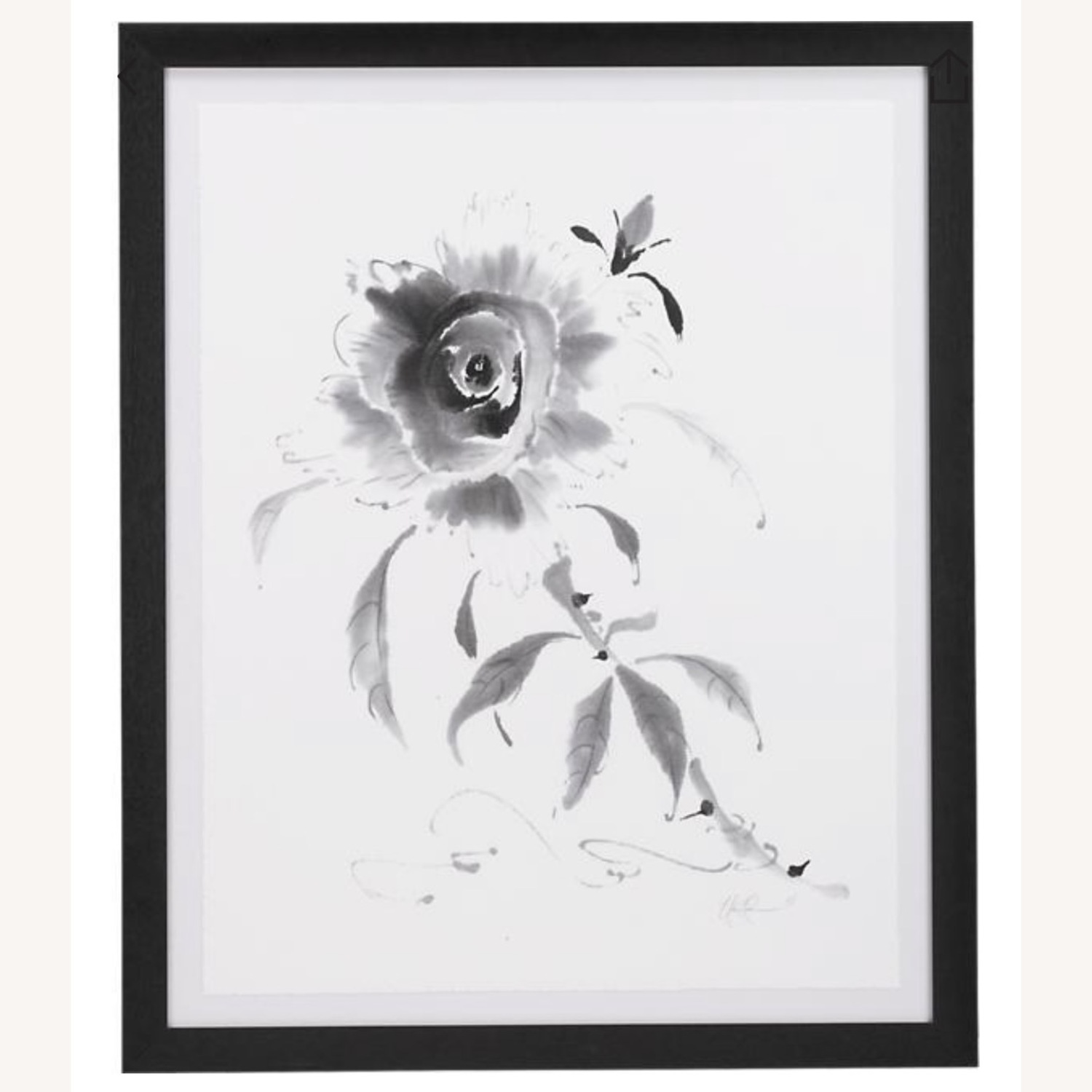 Crate & Barrel  Study in Ink - Rose Print - image-1