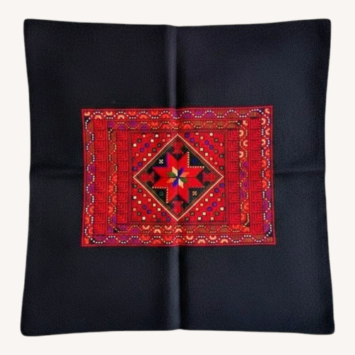 Used Embroidered Decorative Pillow Cover for sale on AptDeco