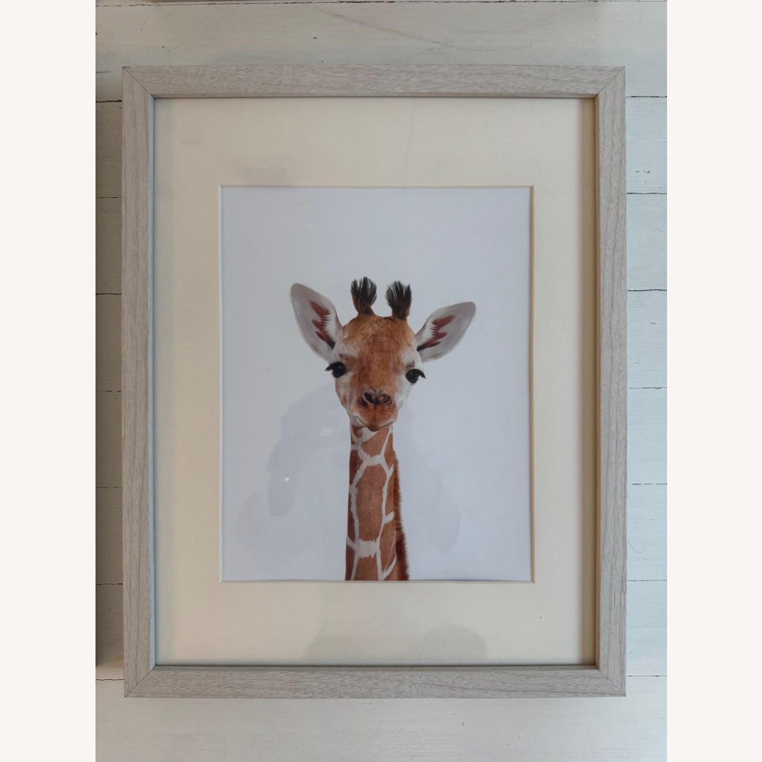 Baby Animal Prints By Jenny Kun Natural Wall Art - image-5