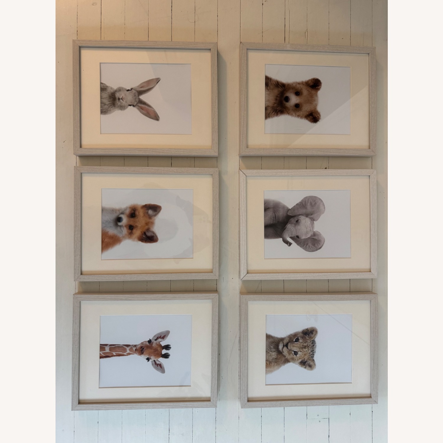 Baby Animal Prints By Jenny Kun Natural Wall Art - image-2