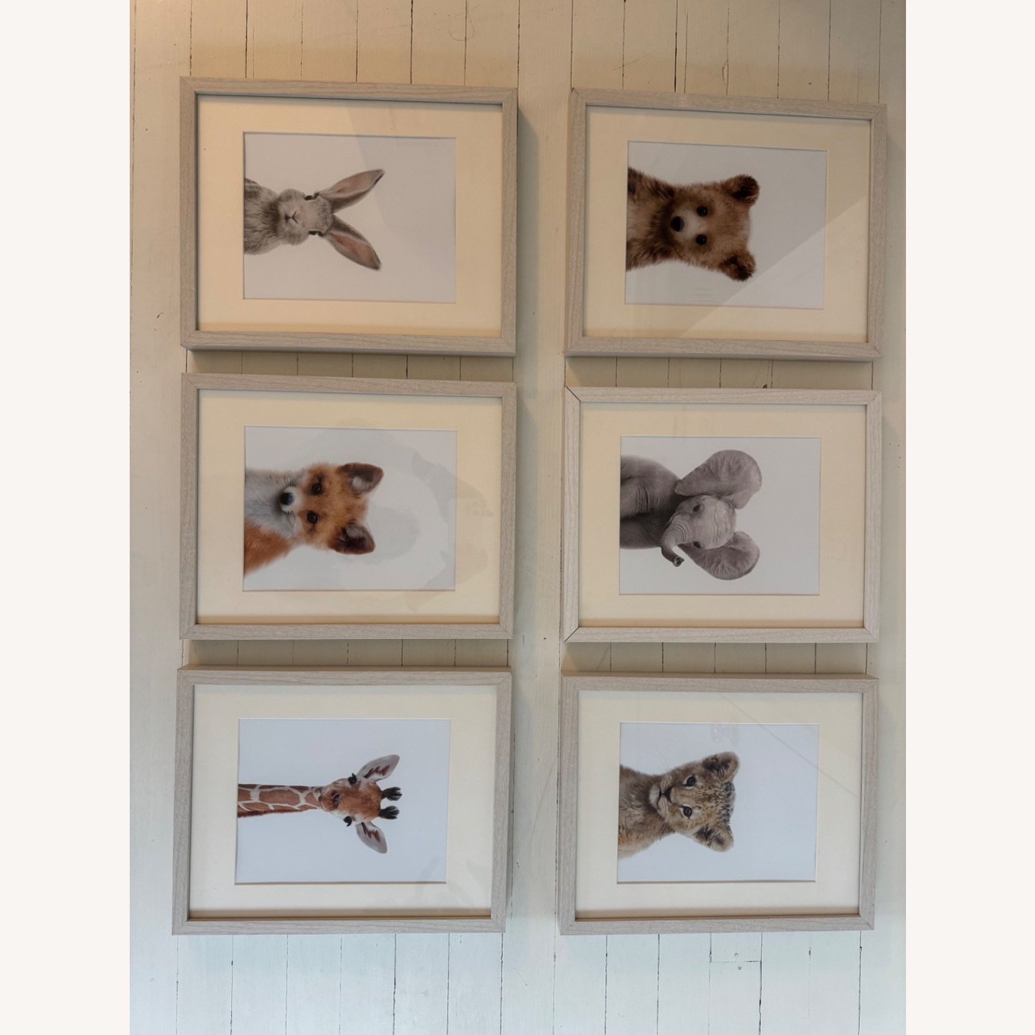 Baby Animal Prints By Jenny Kun Natural Wall Art - image-1