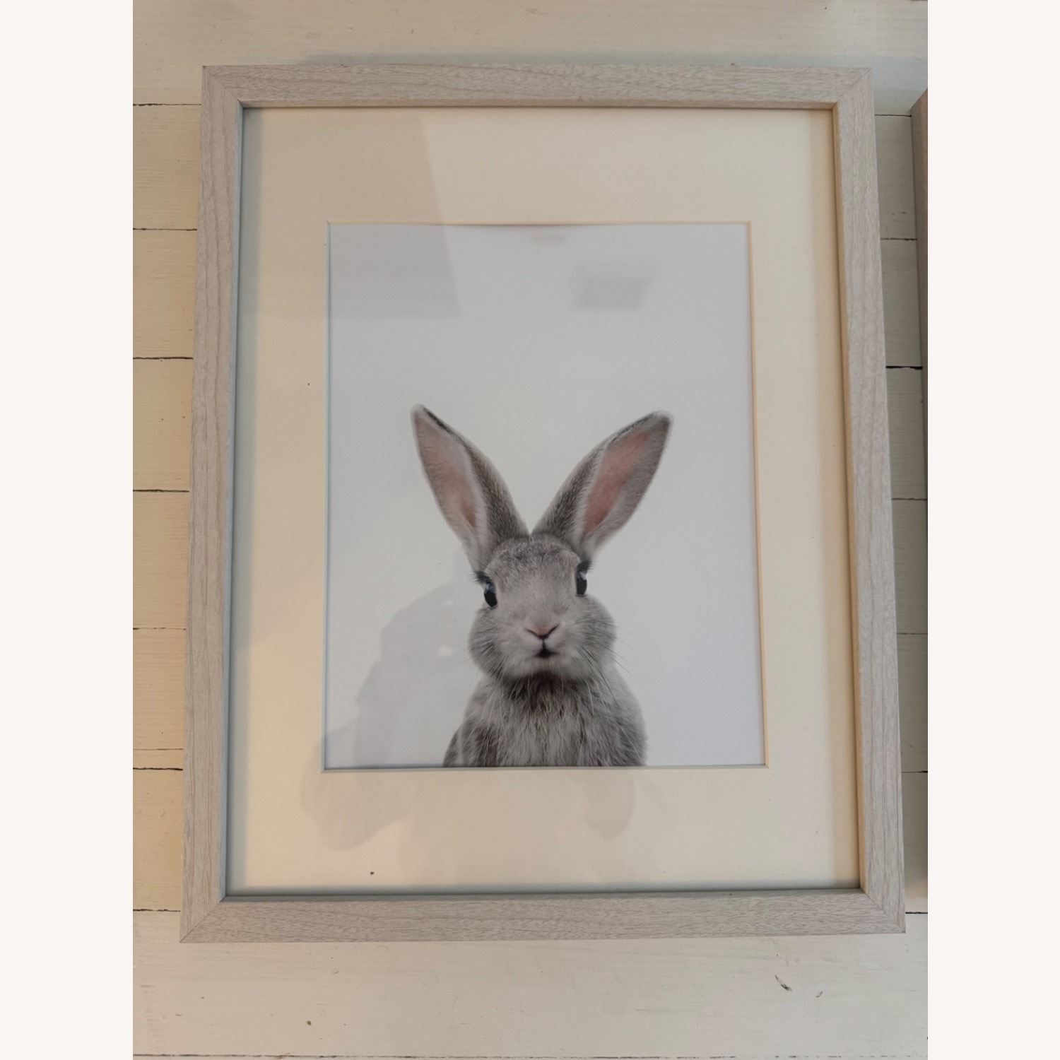 Baby Animal Prints By Jenny Kun Natural Wall Art - image-3