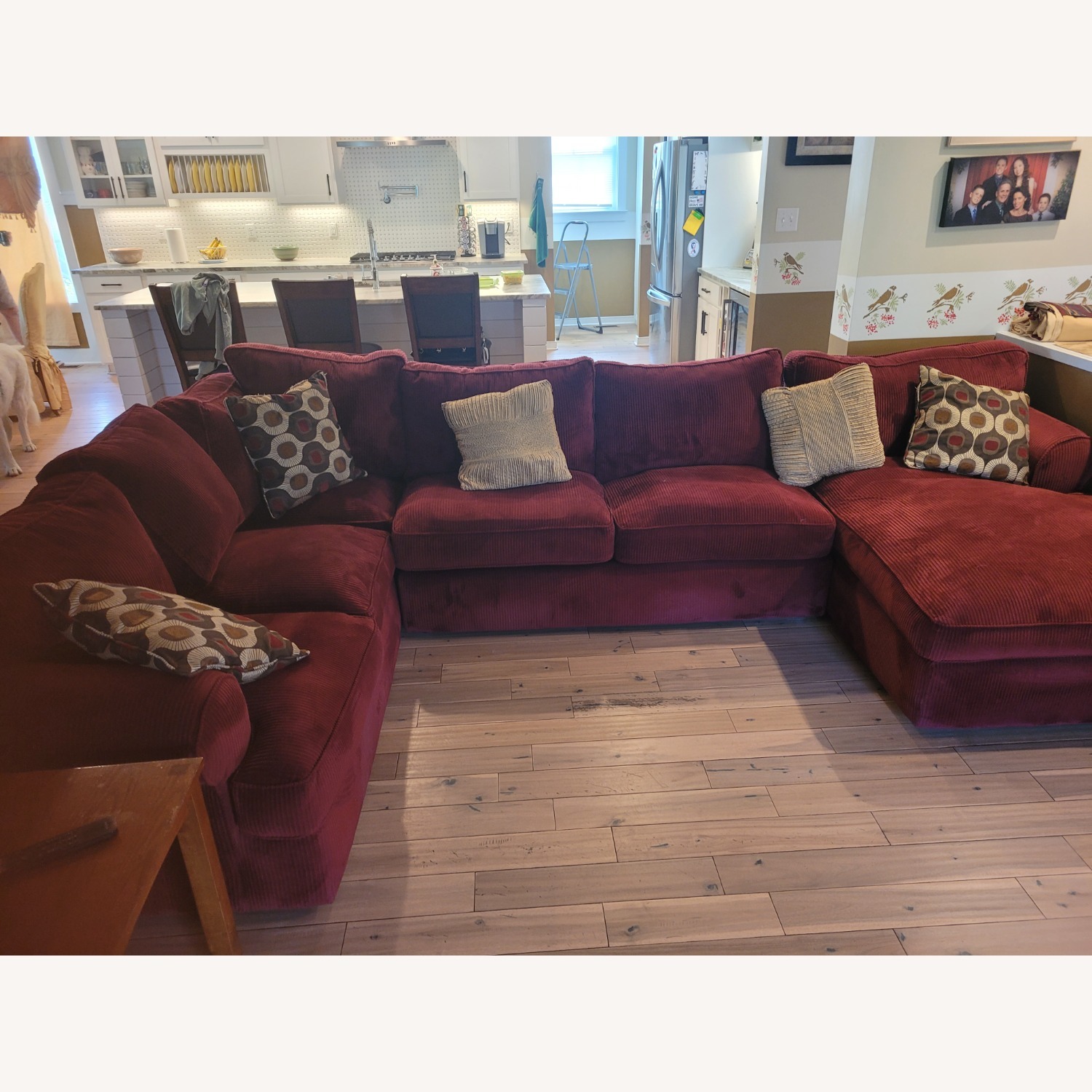 Ashley Couch - image-1