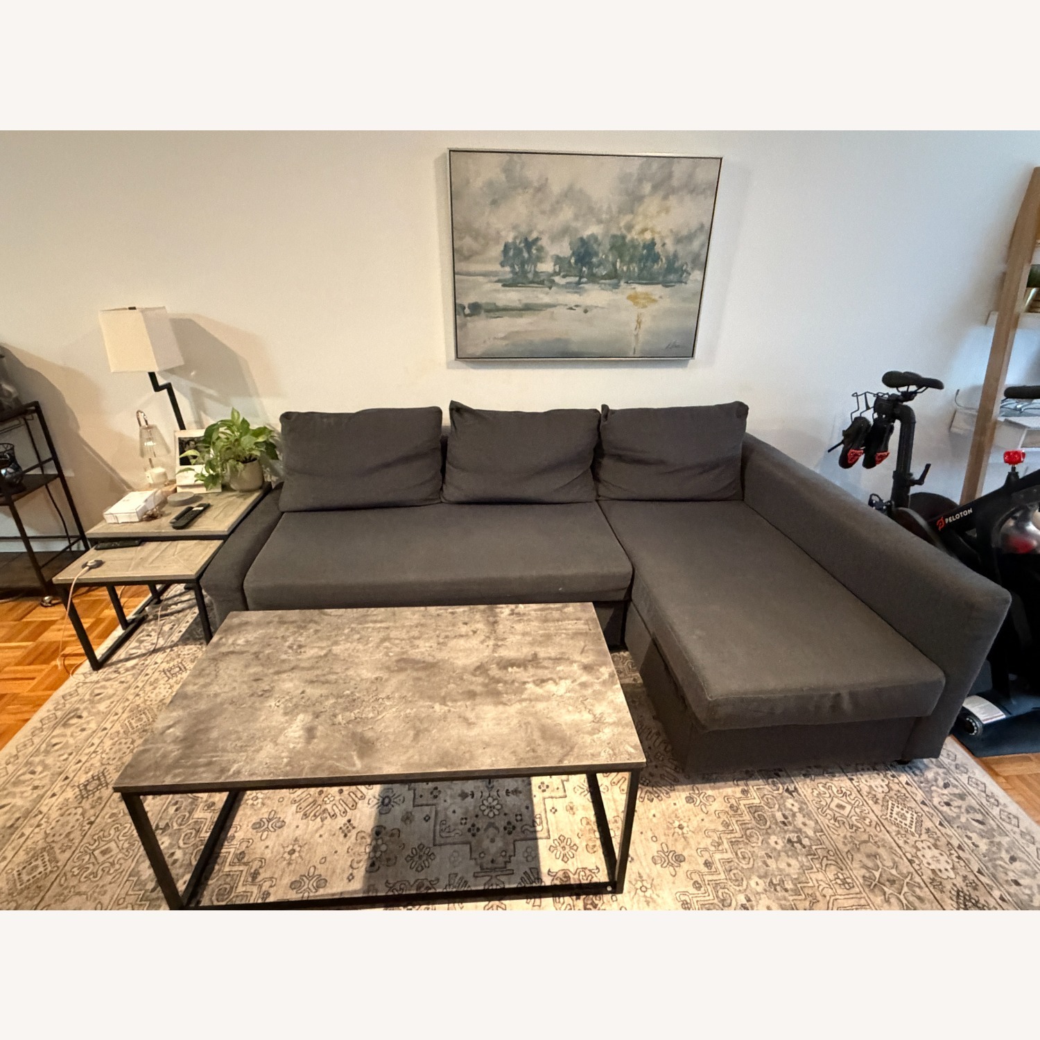 IKEA Frihetan Dark Gray 2 Piece Sectional - image-1