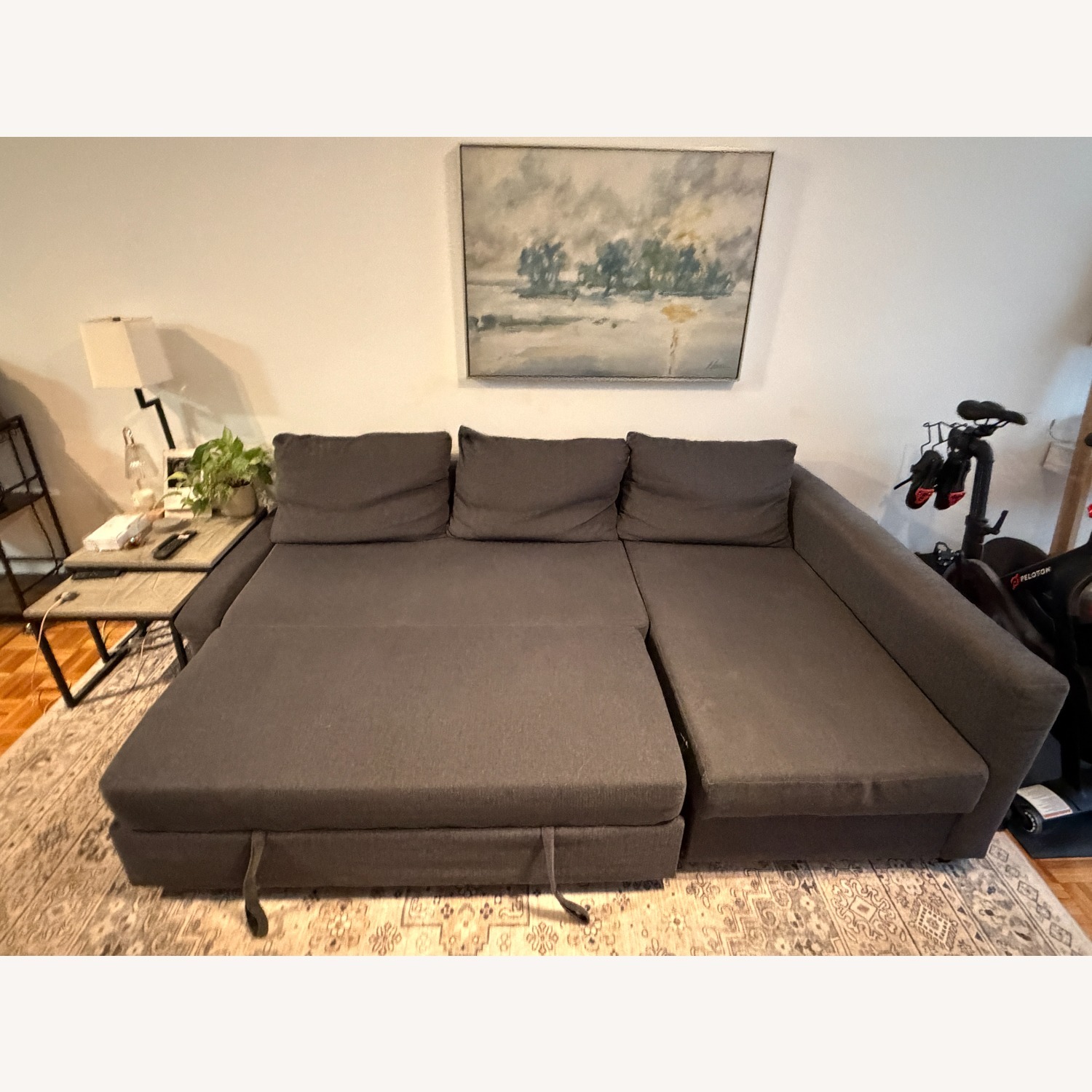 IKEA Frihetan Dark Gray 2 Piece Sectional - image-2