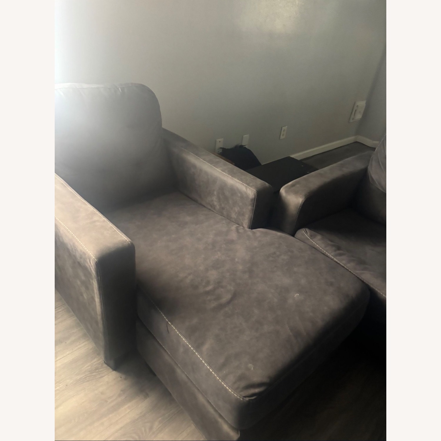 Gray Couch - image-4