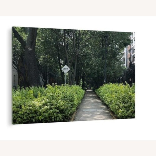 Used Large Canvas Print of Mexico City Greenery for sale on AptDeco