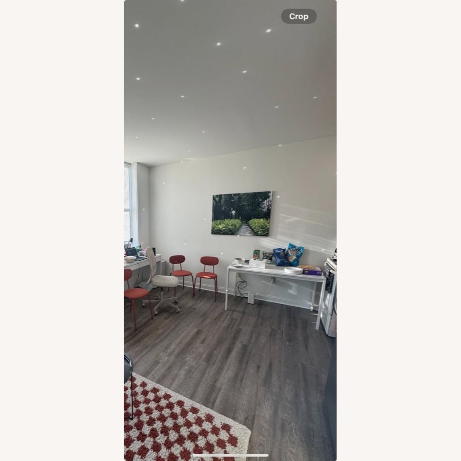 Large Canvas Print of Mexico City Greenery - image-2