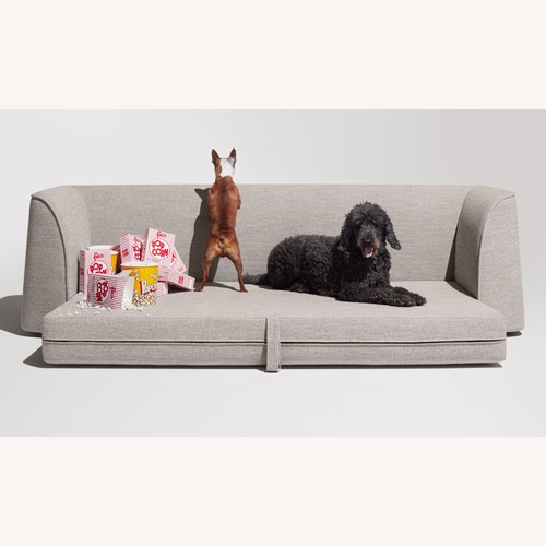 Used Blu Dot Thataway 102" Sleeper Sofa for sale on AptDeco