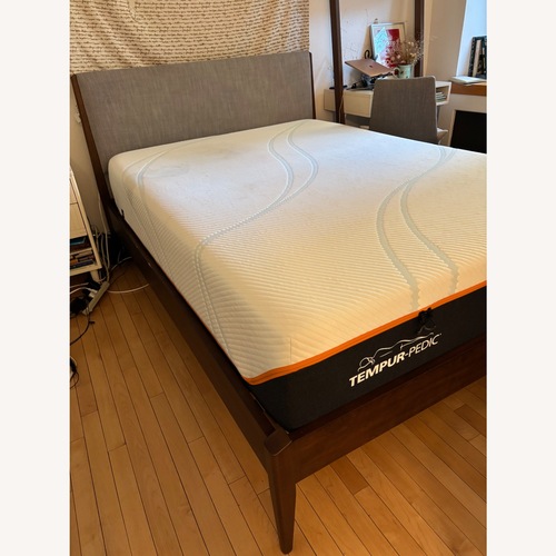 Used West Elm Modern Bed Frame for sale on AptDeco
