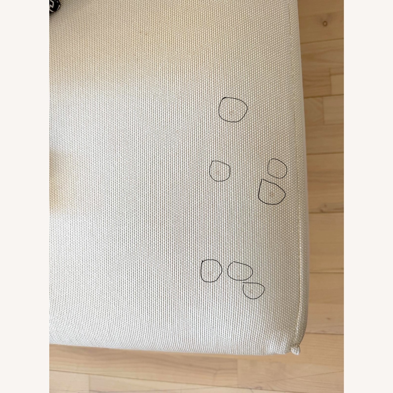 Tacchini Natural Fabric Sleeper Sofa - image-7
